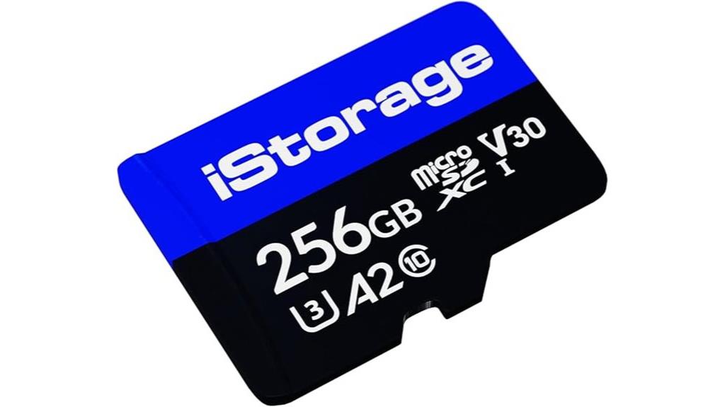 256gb encrypted microsd card