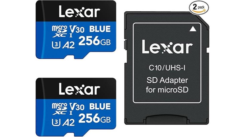 dual 256gb micro sds