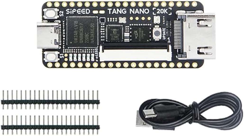 nano fpga with sdram