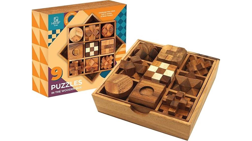 wooden 9 in 1 puzzle set