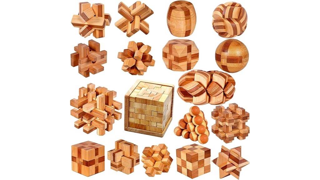 wooden brain teaser set