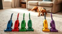 pet friendly portable carpet cleaners