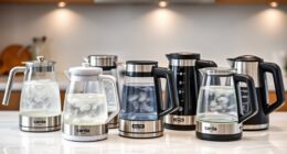 top temperature controlled electric kettles