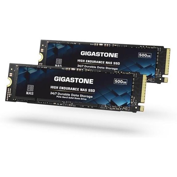 Gigastone 500GB M.2 NAS SSD 2-Pack