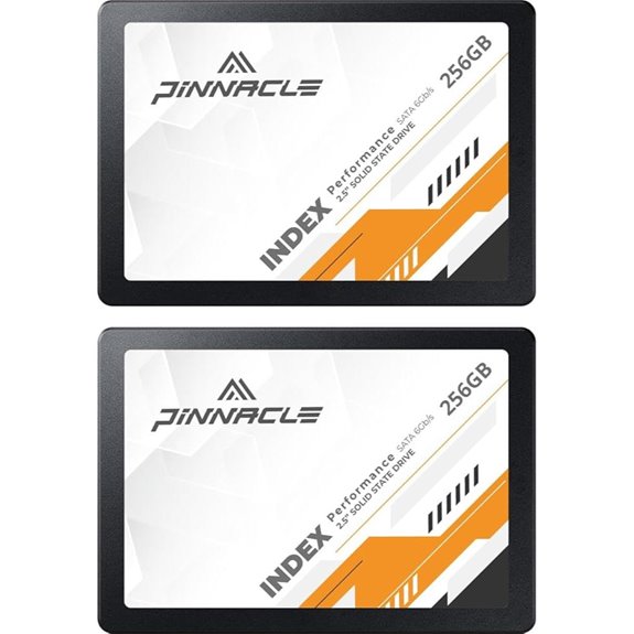 Timetec 256GBx2 SSD 3D NAND SATA III (2 Pack)