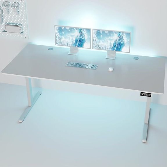 Shintenchi Electric Adjustable Sit-Stand Desk (71x31)