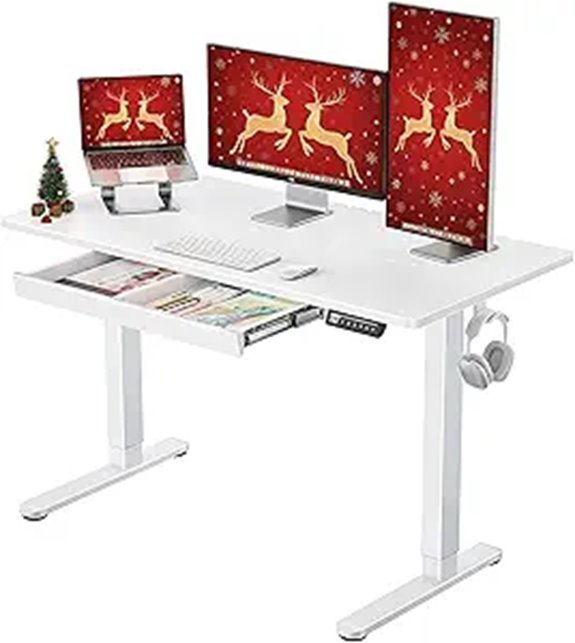 ErGear Electric Standing Desk with Drawers 48