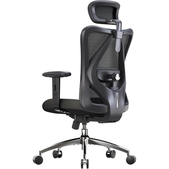 SIHOO M18 Ergonomic Office Chair with Headrest