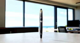 10 Best Luxury Fountain Pen Gift Set for Professionals in 2026
