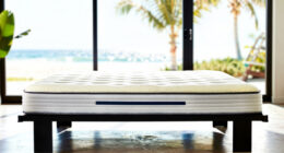 11 Best Organic Latex Mattress Queen Premium in 2026