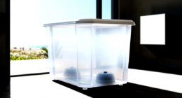 11 Best Professional Ice Bath Chiller System in 2026