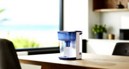 12 Best Best Deluxe Water Filtration Dispenser Countertop in 2026