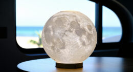 12 Best Best Premium Moon Lamp Large Realistic in 2026