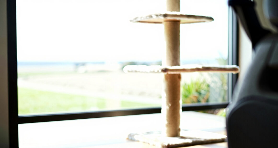 12 Best Premium Indoor Cat Tree Furniture Style in 2026