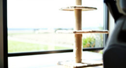 12 Best Premium Indoor Cat Tree Furniture Style in 2026