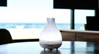 9 Best Premium Smart Home Scent Diffuser in 2026