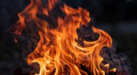 energy fuels rapid growth