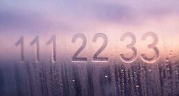 shared insights on angel numbers