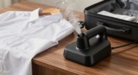 top travel steamer options
