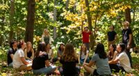 openness transforms perception
