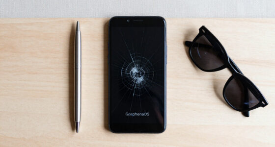 US Citizen Charged After GrapheneOS Phone Wipes During Airport Search